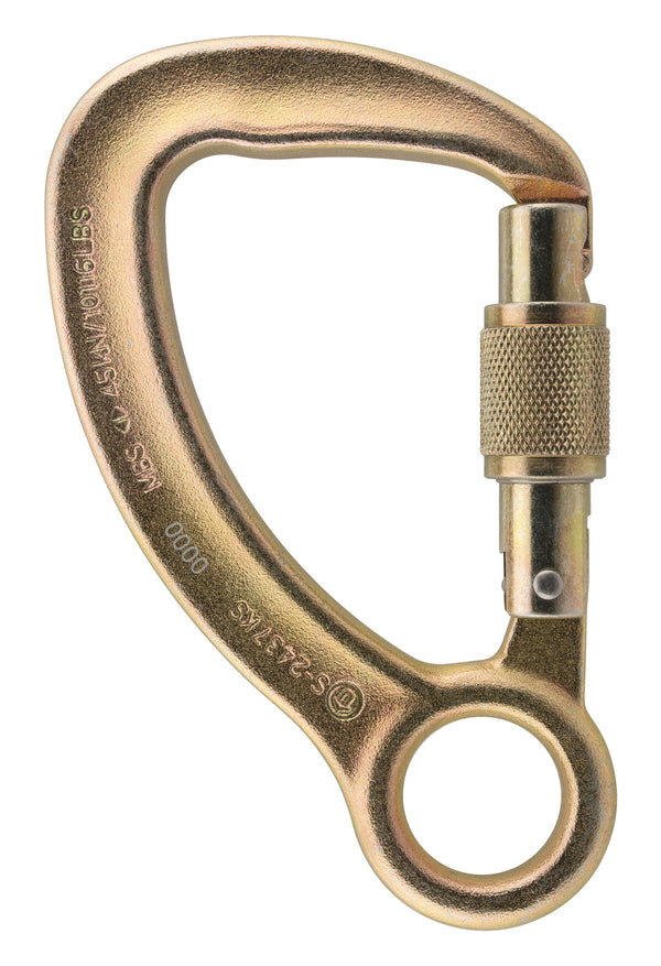 Aliens steel carabiner CAPTIVE EYE screwlock