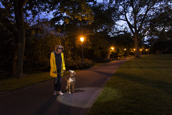 Product primary image #5