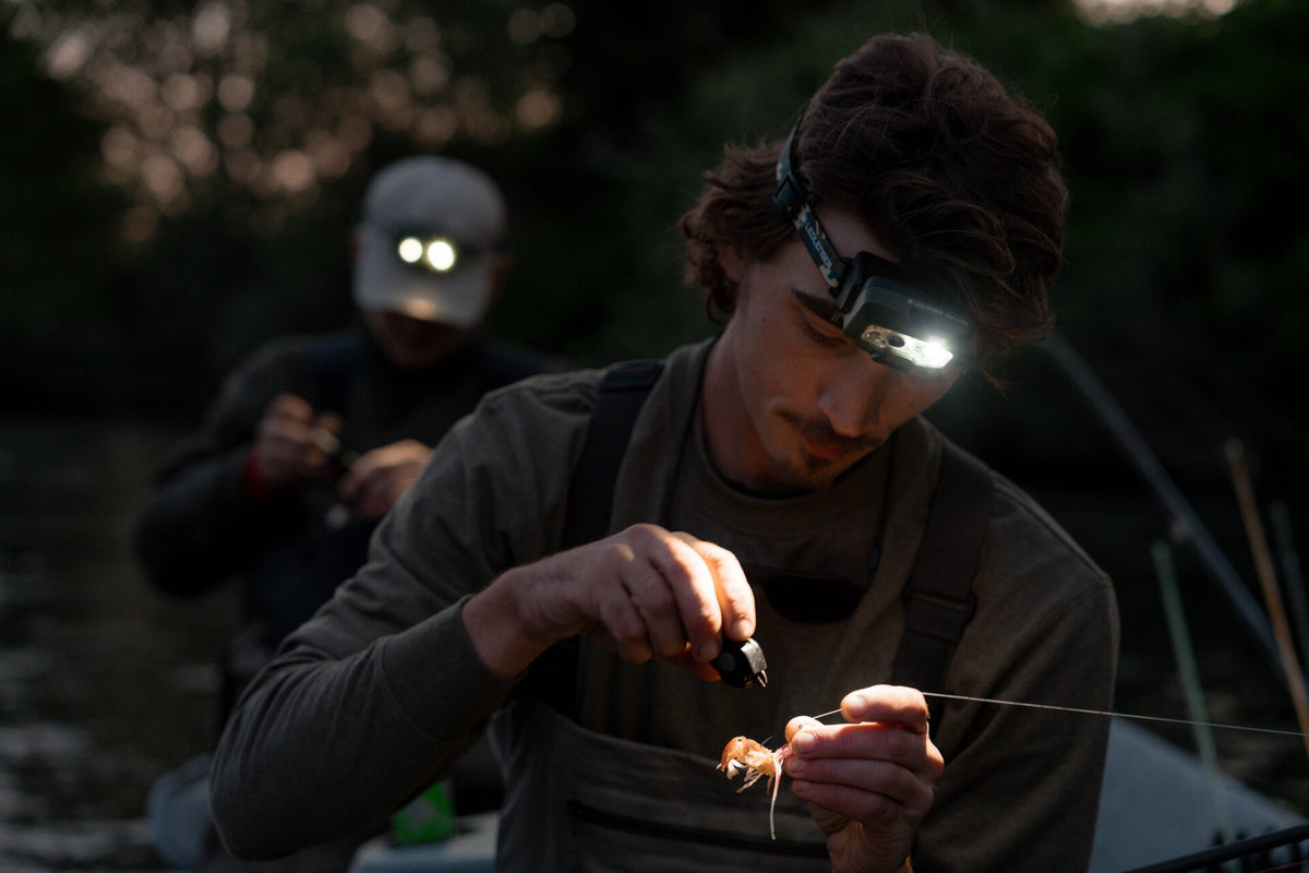 Ledlenser Headlamp HF8R Core RGB - imagen 7