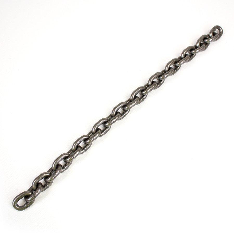Chaîne de levage d'origine CM (5/16") - imagen 2