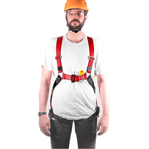 Harnais antichute conforme à la norme EN361 - imagen 4