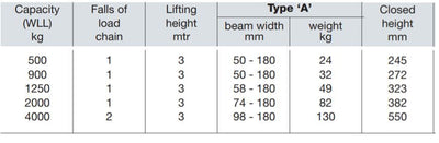 Yalelift 360 Trolley Hoist ITG Stainless Steel 500-4000KG – second image