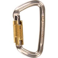 Skylotec D-SHAPE S-STEEL TG Carabiner