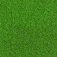 AED Expo-stijl groene loper - imagen 17