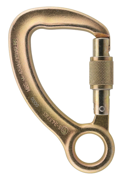 Aliens steel carabiner CAPTIVE EYE screwlock
