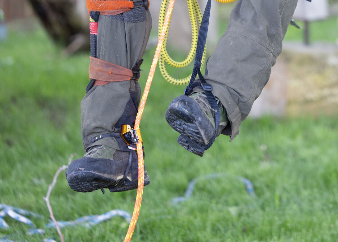 Patin Click: The catch helps keep the rope in place when ascending.

 - imagen 6