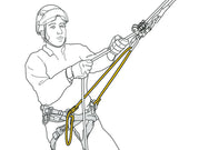 Petzl Adjustable attachment bridge for SEQUOIA® and SEQUOIA® SRT harness - imagen 4