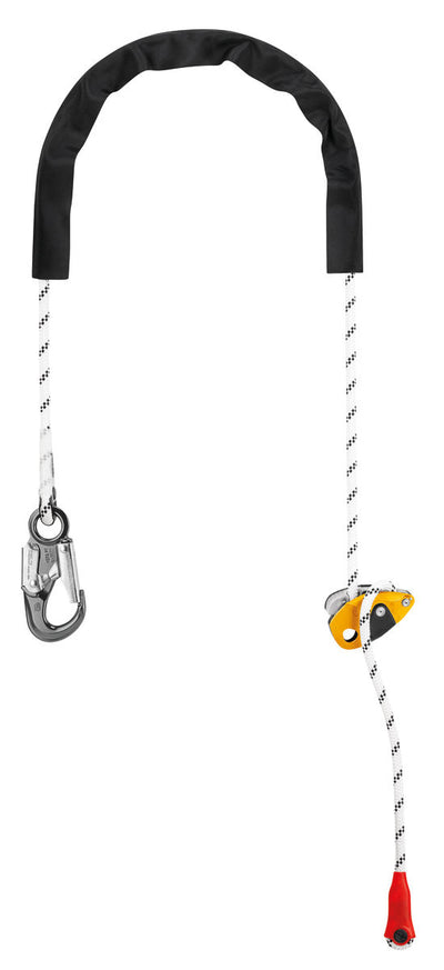 Petzl GRILLON HAAK Internationale versie