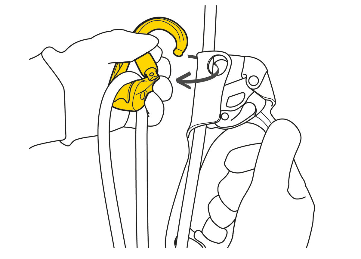 Petzl ROLLCLIP Z Carabiner - imagen 3