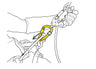 Petzl ROLLCLIP Z Carabiner