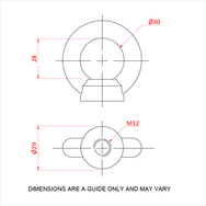 Doughty Engineering - Doughty M12 Eye Nuts - The image is a technical drawing of a component with two views. The top view displays a spherical object with a base, showing dimensions of 28mm height and a 30mm diameter. The bottom view illustrates a top perspective with a 29mm diameter and an M12 threaded hole. The image includes a note stating that dimensions are for guidance only and may vary. - T42300 - imagen 13