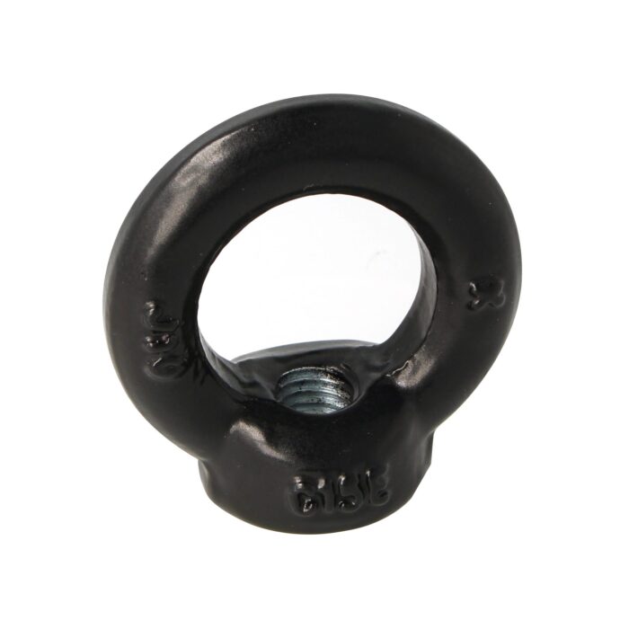 Doughty Engineering - Doughty M12 Eye Nuts, black metal eye bolt with a circular loop and threaded base. The eye bolt is designed for lifting and securing applications. - imagen 11