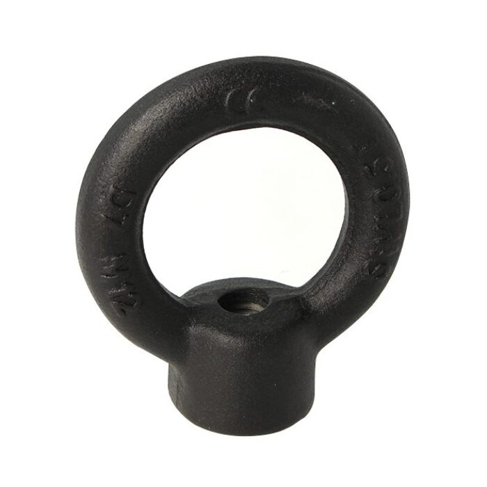 Doughty Engineering - Doughty M12 Eye Nuts - The image shows a black metal lifting eye bolt with a circular loop and threaded base. It is designed for lifting or securing loads and appears robust and industrial. The surface is smooth with engraved markings. - T42300 - imagen 10