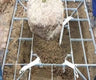 Root Ball Anchor Treelock Bio 35