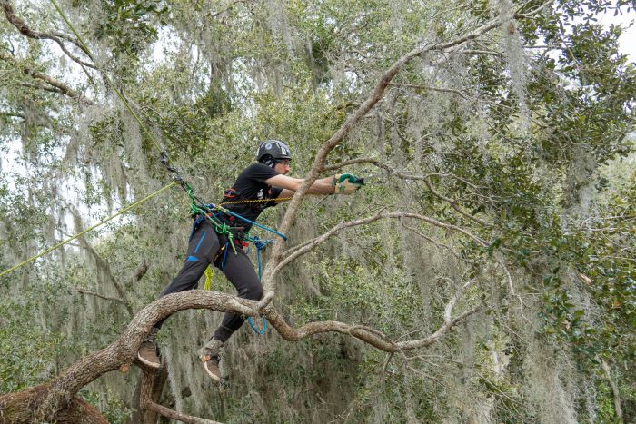 Hipstar Glide Work Position Lanyard for Arborist Real World Usage and Application - imagen 5