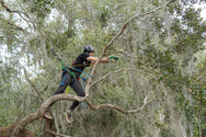 Hipstar Glide Work Position Lanyard for Arborist Real World Usage and Application - imagen 5