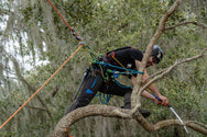 Hipstar Glide Work Position Lanyard for Arborist Real World Usage and Application - imagen 6