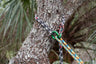 TEUFELBERGER ringLOOP application
