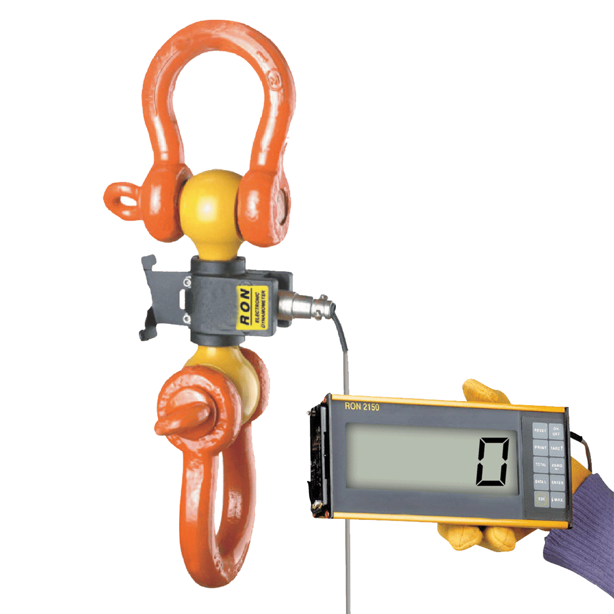 Ron Crane Scales™ Ron 2150 bedrade rollenbank met bevestigbaar display van 50 mm– Ron 2150 bekabelde rollenbank met bevestigbaar display van 50 mm. De uitzonderlijke batterijduur van 2000 uur. Klein en lichtgewicht – Nu verkrijgbaar bij MTN Shop EU. - imagen 2