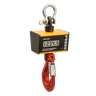 Ron Crane Scales™ Ron 3025 Integrated 1"/25mm Display Crane Scale– Ron Crane Scales™ Ron 3025 Integrated 1"/25mm Display Crane Scale – Now available at MTN Shop EU.
