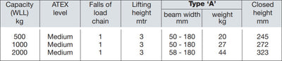 Yalelift 360 Trolley Hoist ITP [ATEX] 500-2000KG – second image