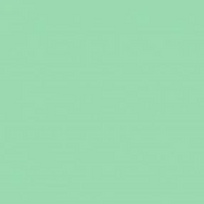 Lee Filter - Green 219– – Now available at MTN Shop EU.