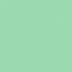 Lee Filter - Green 219– – Now available at MTN Shop EU.