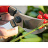 Okatsune Secateurs 103– Made in Japan, the blades of these Okatsune secateurs 103 are very hard and stay sharper for longer due to the Japanese steel used in manufacture. – Now available at MTN Shop EU.