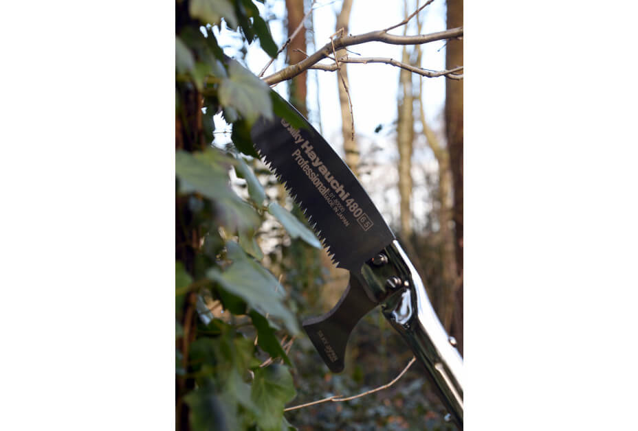 Silky Hayauchi Pole Saw (3Part) MTN Shop EU